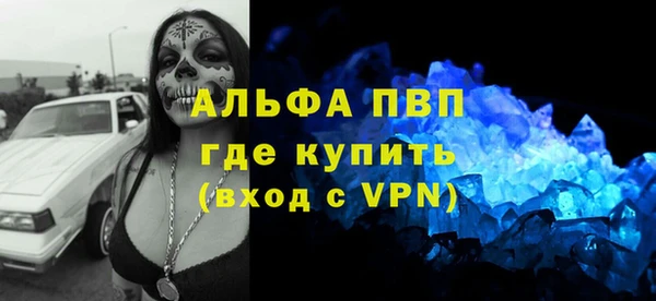 бошки Ладушкин