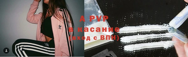 бошки Ладушкин