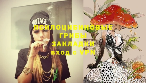 бошки Ладушкин