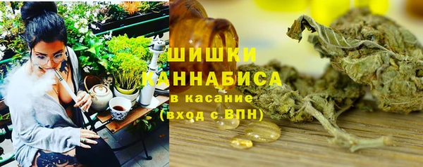 прущие грибы Лагань