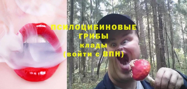 прущие грибы Лагань