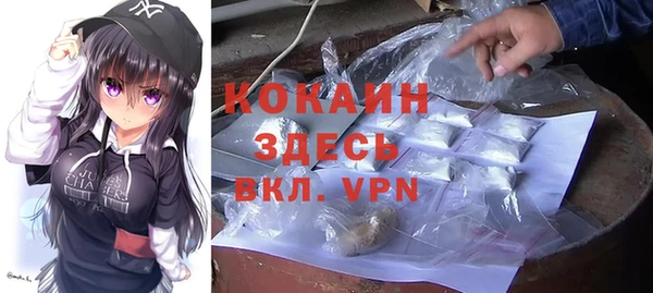 бошки Ладушкин