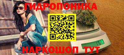 индика Коммунар