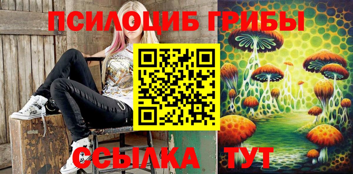 Галлюциногенные грибы Psilocybe  Ялта 