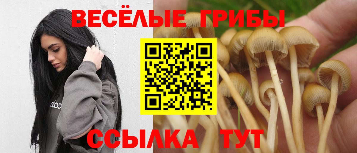 Галлюциногенные грибы Cubensis Ялта