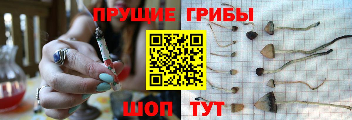Псилоцибиновые грибы Cubensis  Вход с VPN  Ялта  Псилоцибиновые грибы ЛСД 