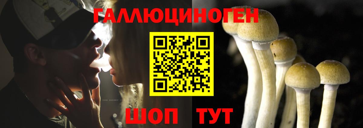 Канабис Ялта